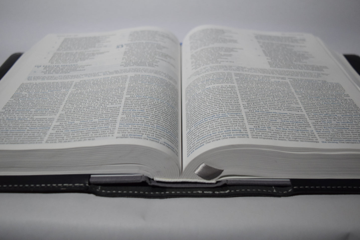 Western Trim Study Bible cover