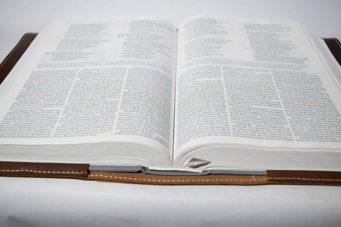 Western Trim Study Bible cover